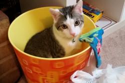 爱游戏体育-从尼斯到佛罗伦萨，福登如何成为英格兰足球的关键先生