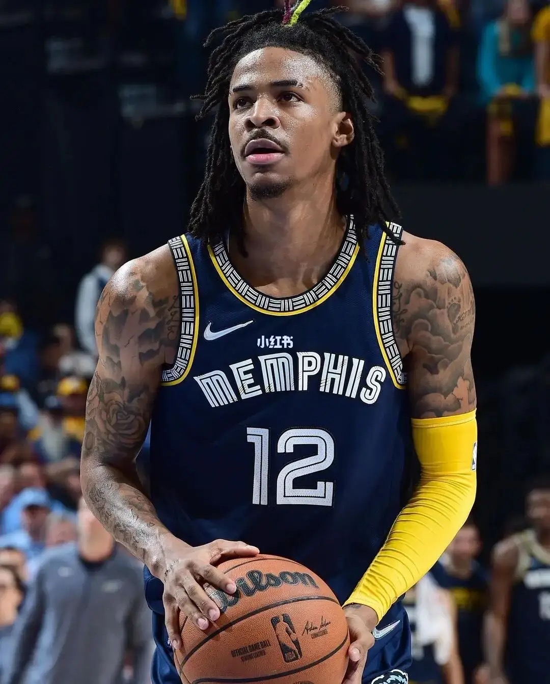 老鹰与灰熊将在明天进行对抗 老鹰与灰熊将在明天进行对抗