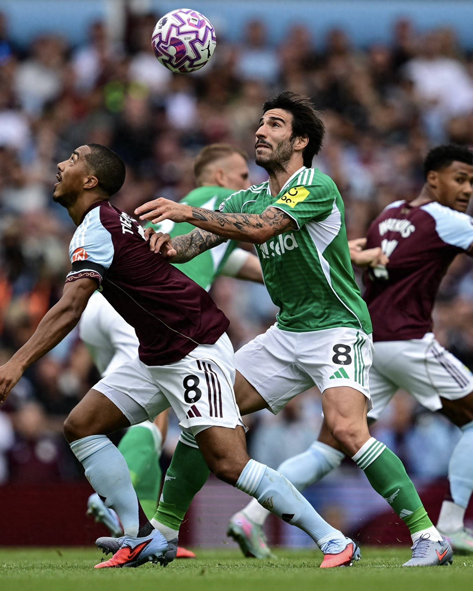 包含英格兰对阵阿尔巴尼亚，备战欧洲杯关键战的词条