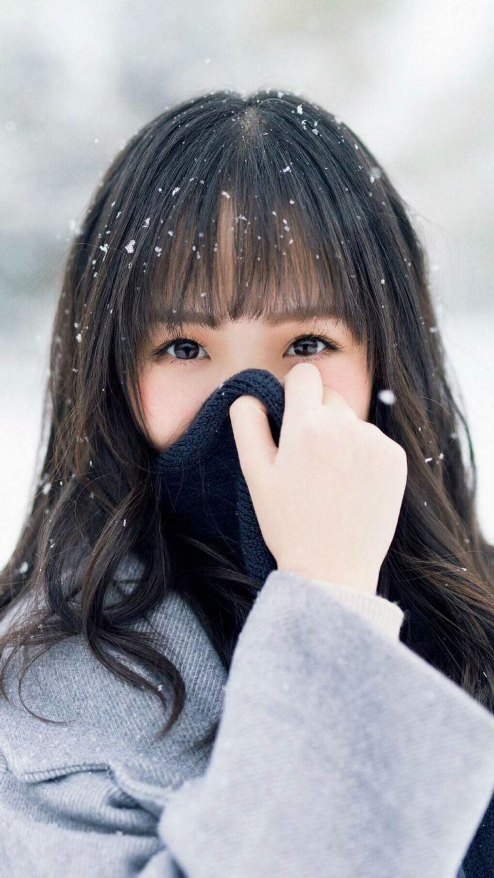 迪马利亚的瞬间爆发与奥地利的节奏魔法,法国如何被一场战术交响乐击溃